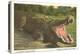Florida Alligator, Myakka River State Park-null-Stretched Canvas