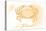 Florida - Crab - Yellow - Coastal Icon-Lantern Press-Stretched Canvas