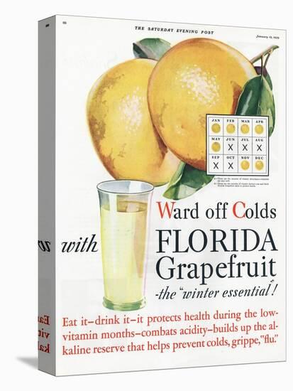 Florida Grapefruit, Colds Flu Fruit, USA, 1920-null-Premier Image Canvas