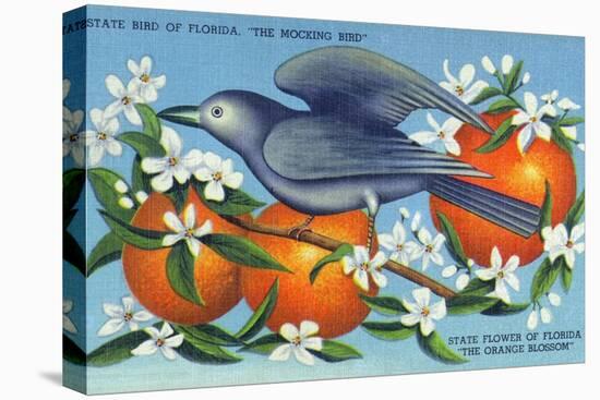 Florida - Mockingbird and Orange Blossoms, State Bird and Flower-Lantern Press-Stretched Canvas