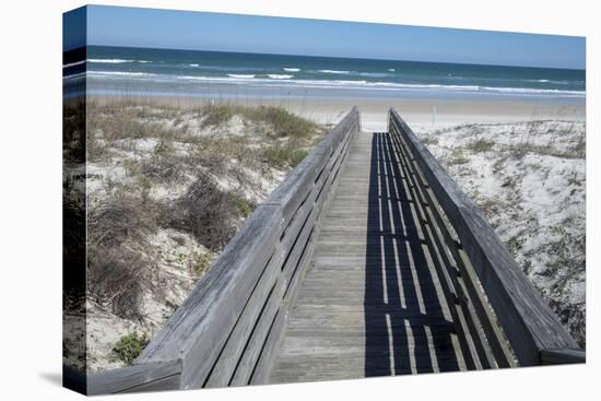 Florida, New Smyrna Beach, Smyrna Dunes Park, Boardwalk-Lisa S. Engelbrecht-Premier Image Canvas