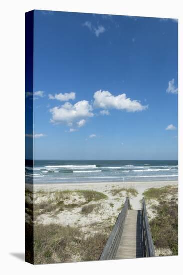 Florida, New Smyrna Beach-Jim Engelbrecht-Premier Image Canvas