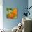 Florida Oranges-null-Stretched Canvas displayed on a wall
