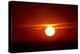 Florida, Siesta Key, Crescent Beach, Ball of Fire in a Red Sunset-Bernard Friel-Premier Image Canvas