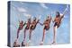 Florida State Cheerleaders, 2002-Joe Heaps Nelson-Premier Image Canvas