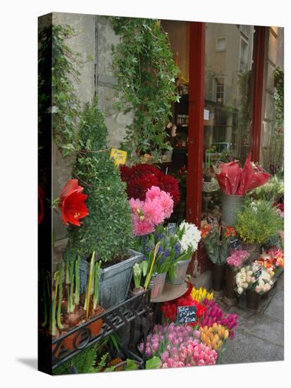 Florist in Ile St. Louis, Paris, France-Lisa S. Engelbrecht-Premier Image Canvas