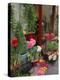 Florist in Ile St. Louis, Paris, France-Lisa S. Engelbrecht-Premier Image Canvas