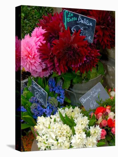 Florist in Ile St. Louis, Paris, France-Lisa S. Engelbrecht-Premier Image Canvas