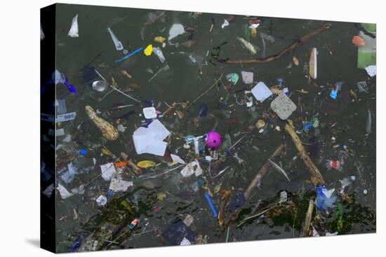 Flotsam in Seawater-Robert Brook-Premier Image Canvas