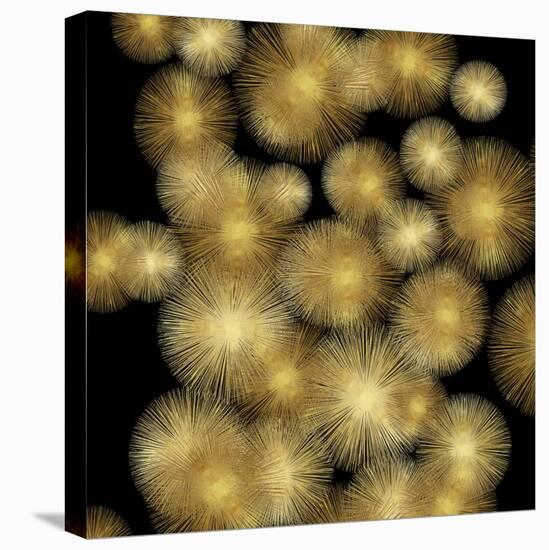 Flourish in Gold-Abby Young-Stretched Canvas