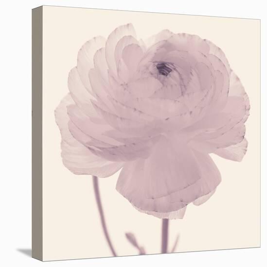 Flourish - Peace-Katja Marzahn-Stretched Canvas