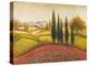 Flourishing Vineyard II-Michael Marcon-Stretched Canvas