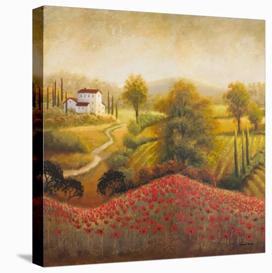 Flourishing Vineyard Square I-Michael Marcon-Stretched Canvas