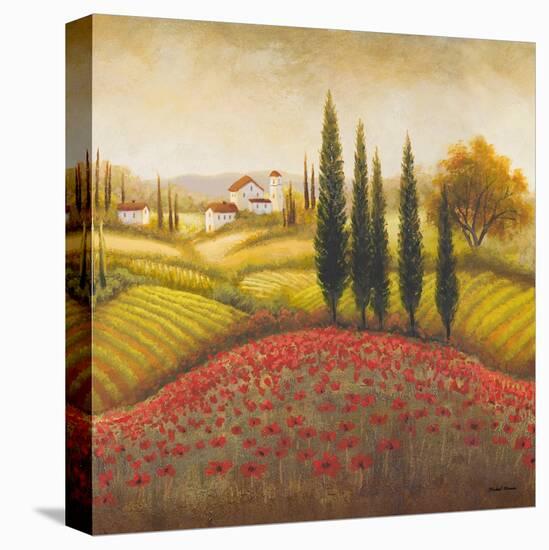 Flourishing Vineyard Square II-Michael Marcon-Stretched Canvas
