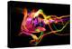 Flower a Lily & Night Neon Lights--Vladimir--Premier Image Canvas