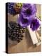 Flower, Anemone, Blossom, Grapes, Newspaper-Nikky Maier-Premier Image Canvas