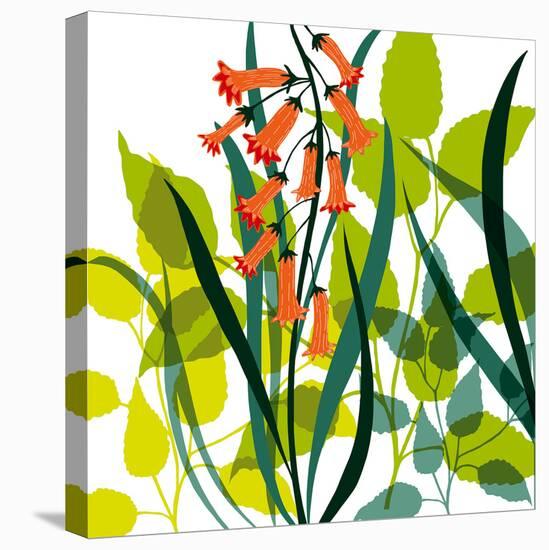 Flower Applique II-Laure Girardin-Vissian-Stretched Canvas