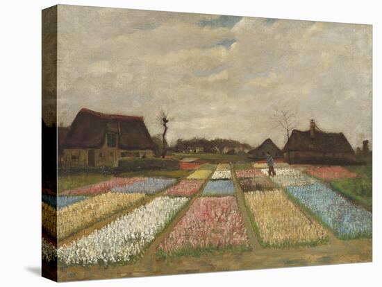 Flower Beds in Holland, by Vincent van Gogh, 1883, Dutch Post-Impressionist painting,-Vincent van Gogh-Stretched Canvas