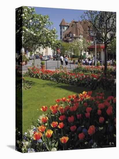 Flower Beds with Tulips in Town Centre, Deauville, Calvados, Normandy, France-David Hughes-Premier Image Canvas