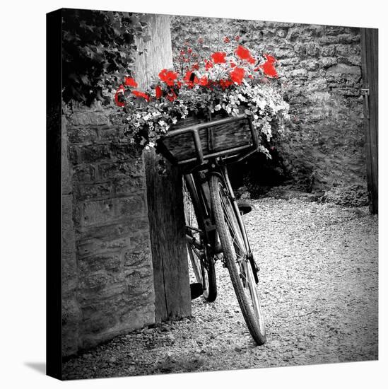 Flower Bike Square with Border-Gail Peck-Stretched Canvas