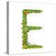 Flower Blossom Decorative Botanical Elegant Alphabet Letter E. Flower ABC Sign E. Floral Summer Col-Popmarleo-Stretched Canvas