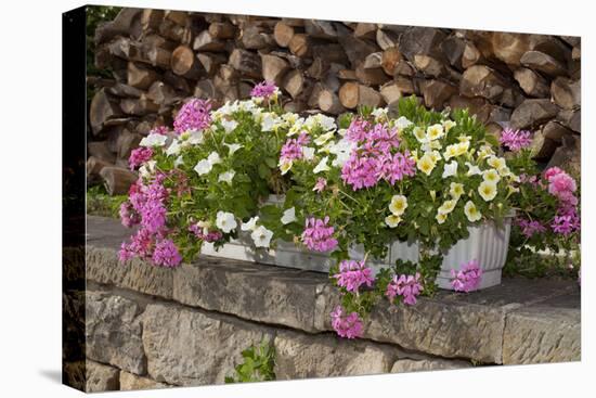 Flower Box-Chris Seba-Premier Image Canvas