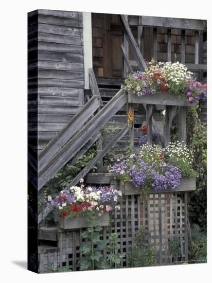 Flower Boxes on Whidbey Island, Washington, USA-William Sutton-Premier Image Canvas