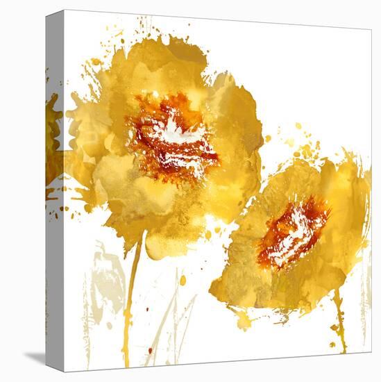 Flower Burst in Amber II-Vanessa Austin-Stretched Canvas