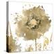 Flower Burst in Gold I-Vanessa Austin-Stretched Canvas