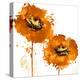 Flower Burst in Mandarin II-Vanessa Austin-Stretched Canvas