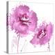 Flower Burst in Pink II-Vanessa Austin-Stretched Canvas