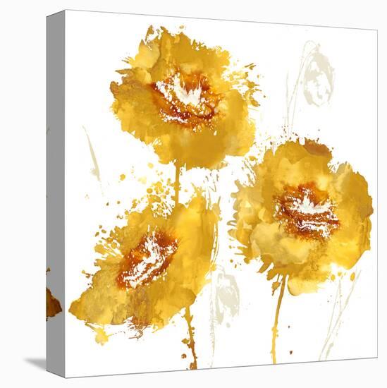 Flower Burst Trio in Amber-Vanessa Austin-Stretched Canvas