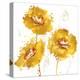 Flower Burst Trio in Amber-Vanessa Austin-Stretched Canvas