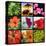 Flower Collage-Herb Dickinson-Premier Image Canvas