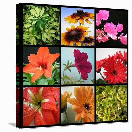 Flower Collage-Herb Dickinson-Premier Image Canvas