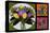 Flower Collage-Bonnie B. Cook-Premier Image Canvas