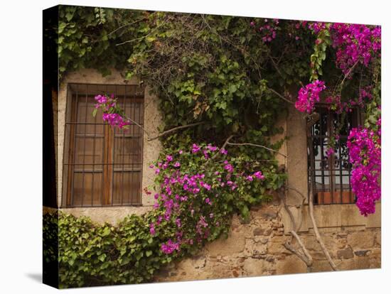 Flower-Covered Buildings, Old Town, Ciudad Monumental, Caceres, Spain-Walter Bibikow-Premier Image Canvas