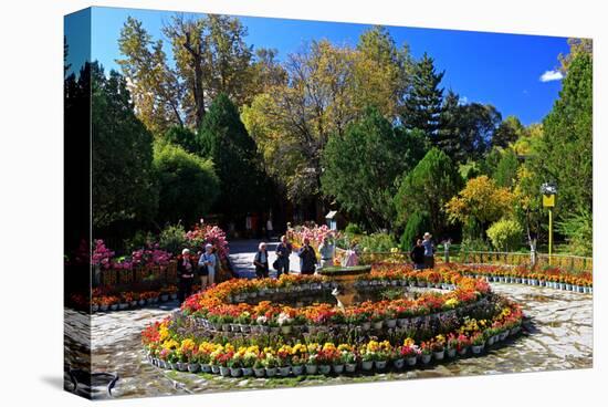 Flower Decoration in the Park of the Summer Residence of the 14th Dalai Lama-null-Stretched Canvas