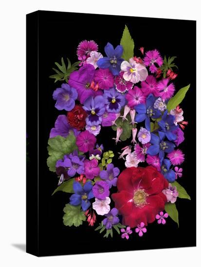 Flower Drama VIII-Judy Stalus-Premier Image Canvas