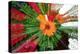 Flower explosion-Heidi Westum-Premier Image Canvas