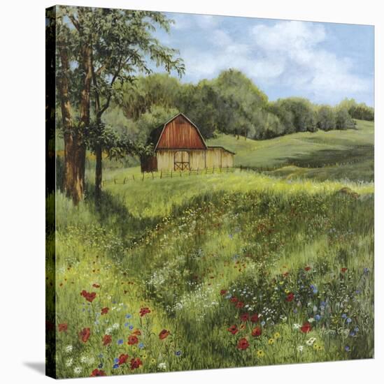 Flower Field-Lene Alston Casey-Stretched Canvas