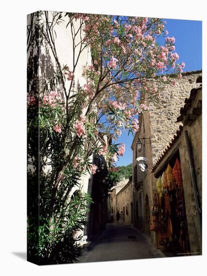 Flower Filled Village Street, St. Guilhem-Le-Desert, Herault, Languedoc-Roussillon, France, Europe-Ruth Tomlinson-Premier Image Canvas