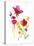 Flower Garden II-Sandra Jacobs-Stretched Canvas