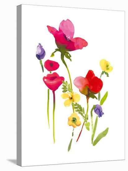 Flower Garden II-Sandra Jacobs-Stretched Canvas
