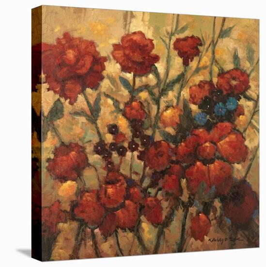 Flower Garden in Bloom-Kanayo Ede-Stretched Canvas