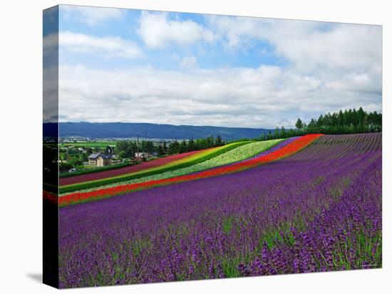 Flower Garden-null-Premier Image Canvas