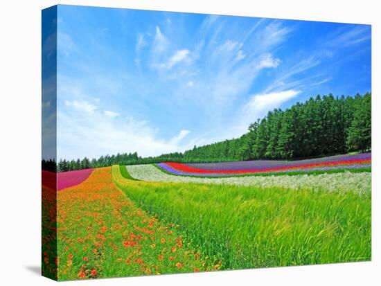 Flower Garden-null-Premier Image Canvas