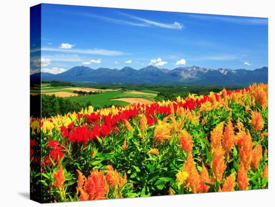 Flower Garden-null-Premier Image Canvas