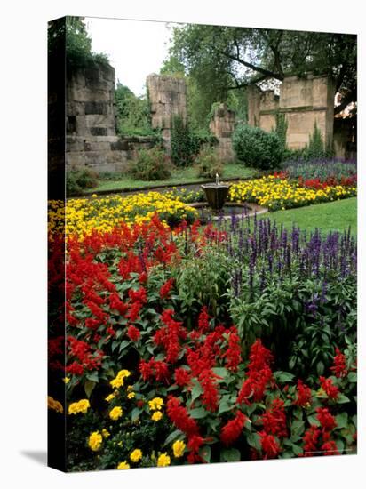 Flower Gardens in Old Town by Rhine River, St Kastor Church, Koblenz, Germany-Bill Bachmann-Premier Image Canvas