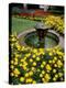 Flower Gardens in Old Town by Rhine River, St Kastor Church, Koblenz, Germany-Bill Bachmann-Premier Image Canvas